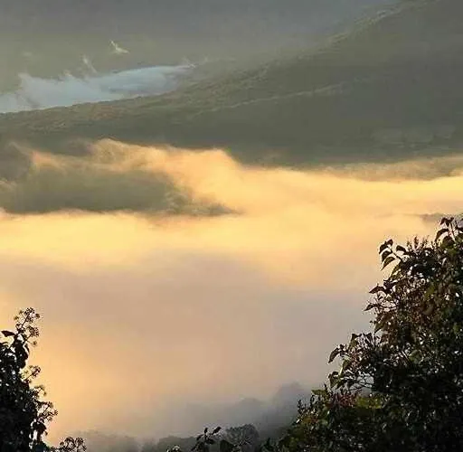 La Torre Del Molino 펜션