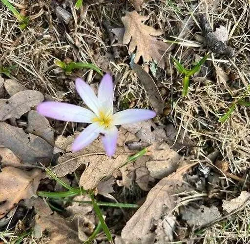 펜션 La Torre Del Molino